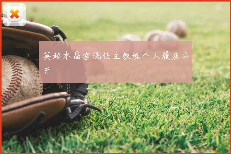 英超水晶宫现任主教练个人履历公开