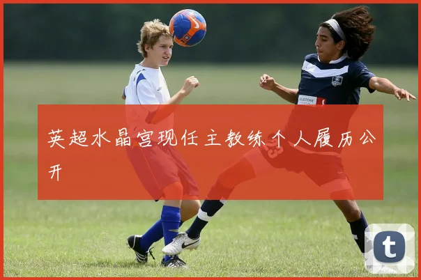 英超水晶宫现任主教练个人履历公开